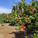 Lägenhet Garden House Escape Amarynthos