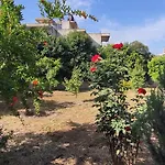 Garden House Escape