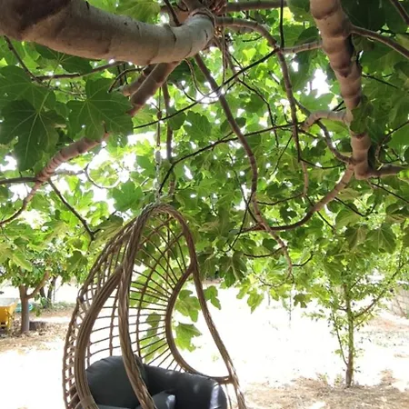 Garden House Escape * Amarynthos