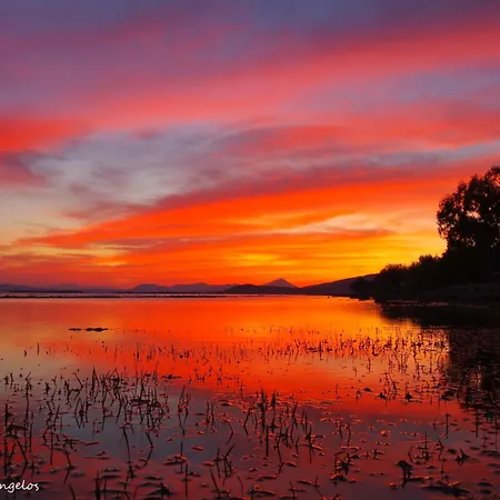 Garden House Escape Appartement