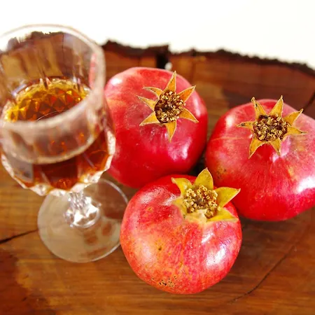 Garden House Escape Appartement *