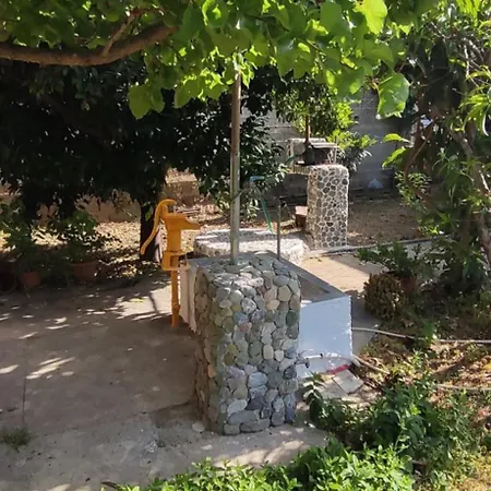 Garden House Escape *