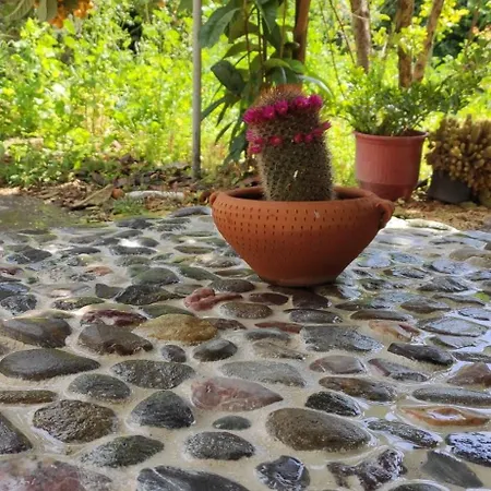 Apartment Garden House 2 Amarynthos