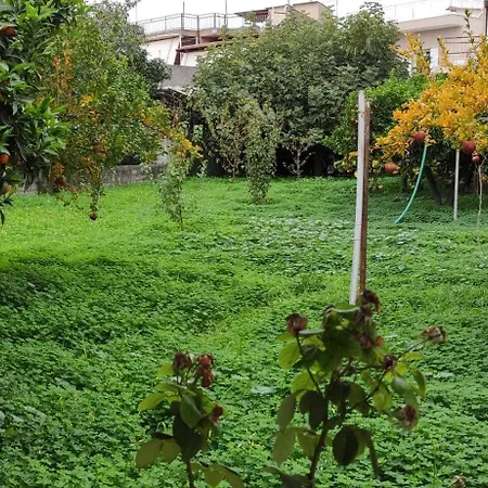 Garden House Escape * Amarynthos