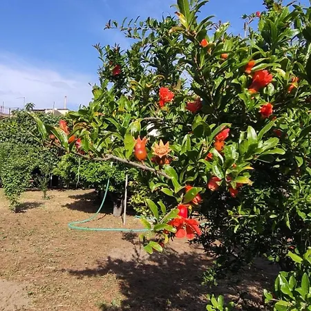 Apartment Garden House Escape Amarynthos