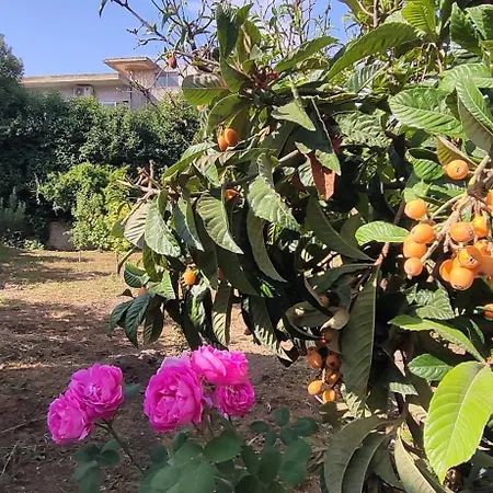 Garden House Escape Amarynthos