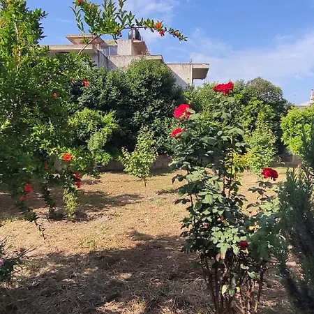 Garden House Escape