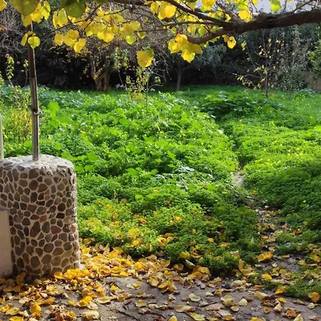 Garden House Escape