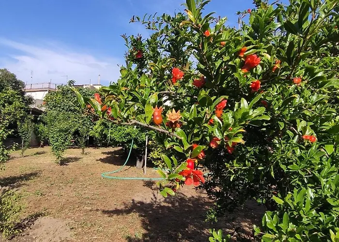 Apartment Garden House Escape Amarynthos