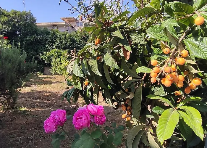 Garden House Escape Amarynthos